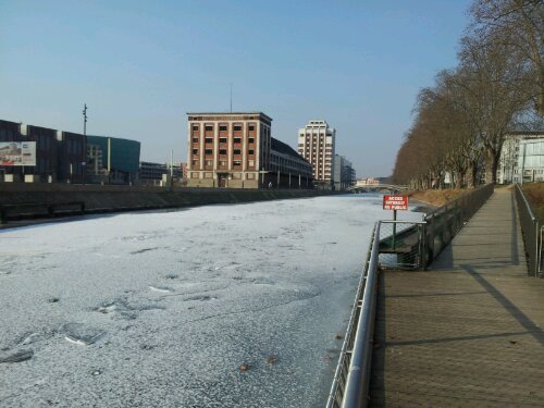 20120211_111830.jpg image